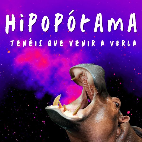 hipopótama teatro obraa